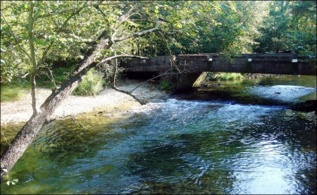 Nacimiento del Purón.