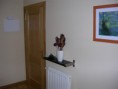 /album/fotogaleria-el-piso/dscn3485-jpg/